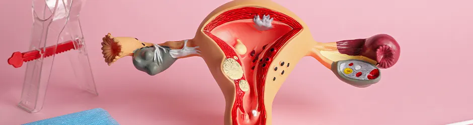 Gynäkologische Untersuchung und Vorsorgeuntersuchungen für Frauen